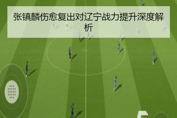 张镇麟伤愈复出对辽宁战力提升深度解析